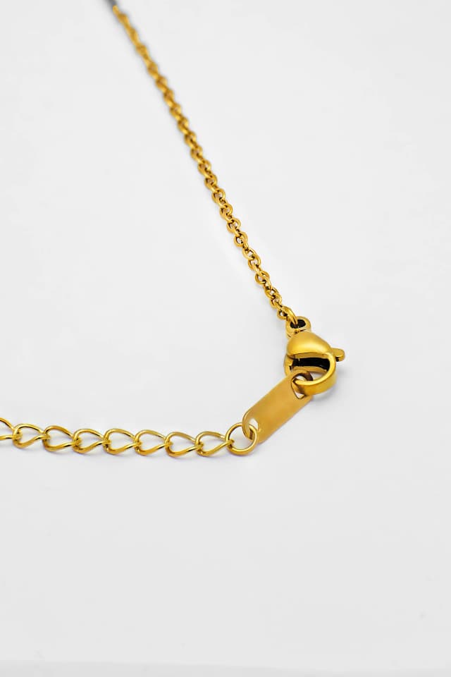 ESTRELLA GUARDIANA 2