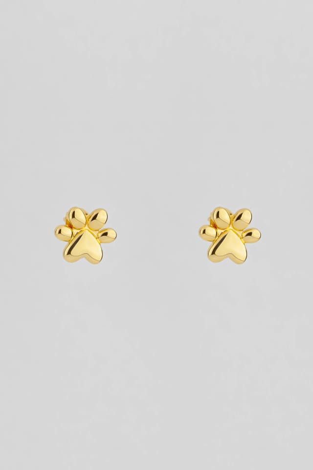 PENDIENTES PUSETS PACTO DE LA TIERRA 1