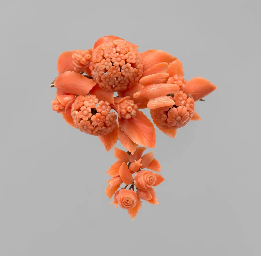Coral rojo de lujo: historia de un material real, su rareza y cómo reconocer el auténtico