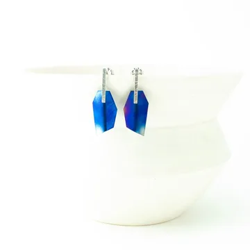 Boucles d'oreilles Roble 1