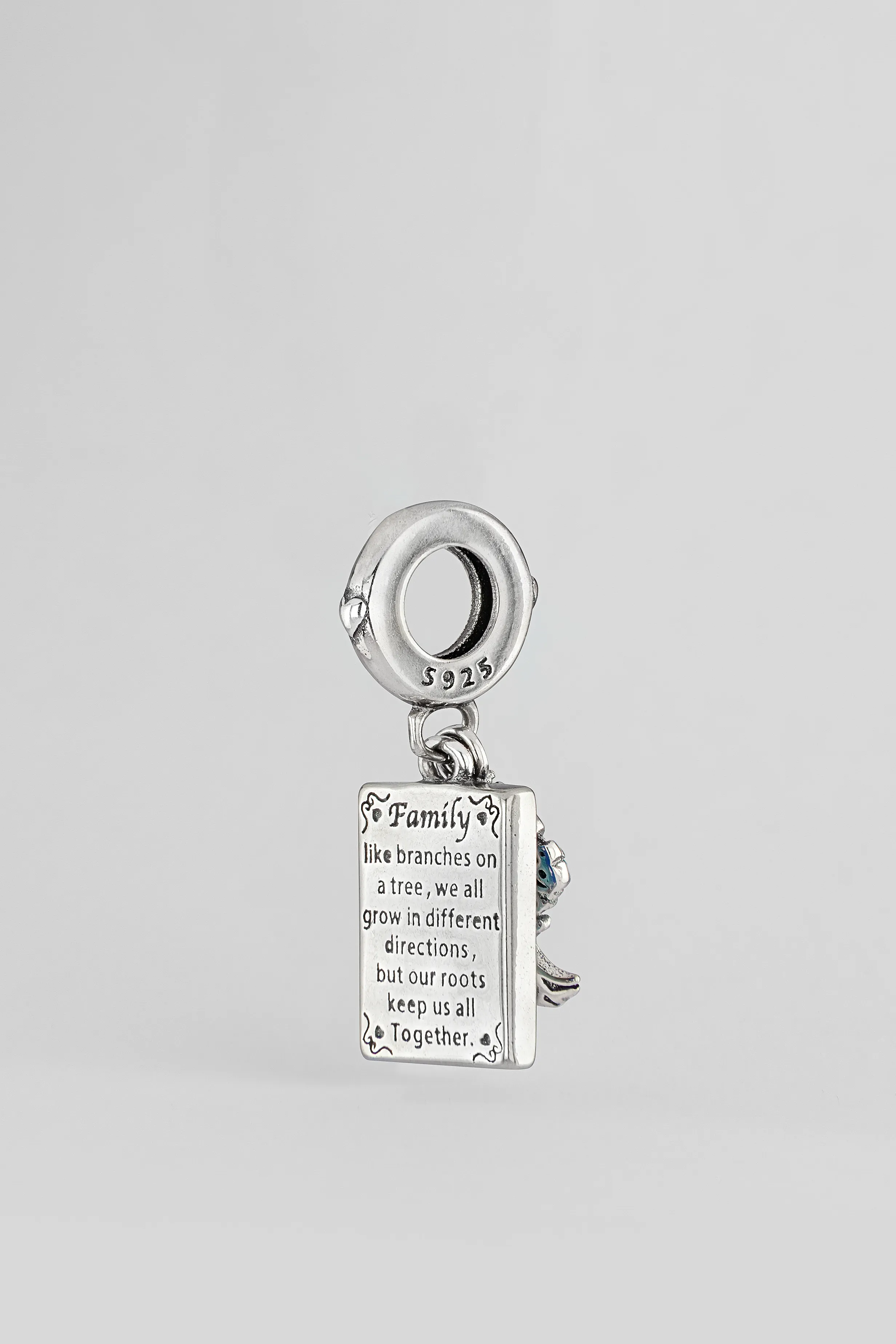 ÁRBOL DE LA VIDA Y FAMILIA 2